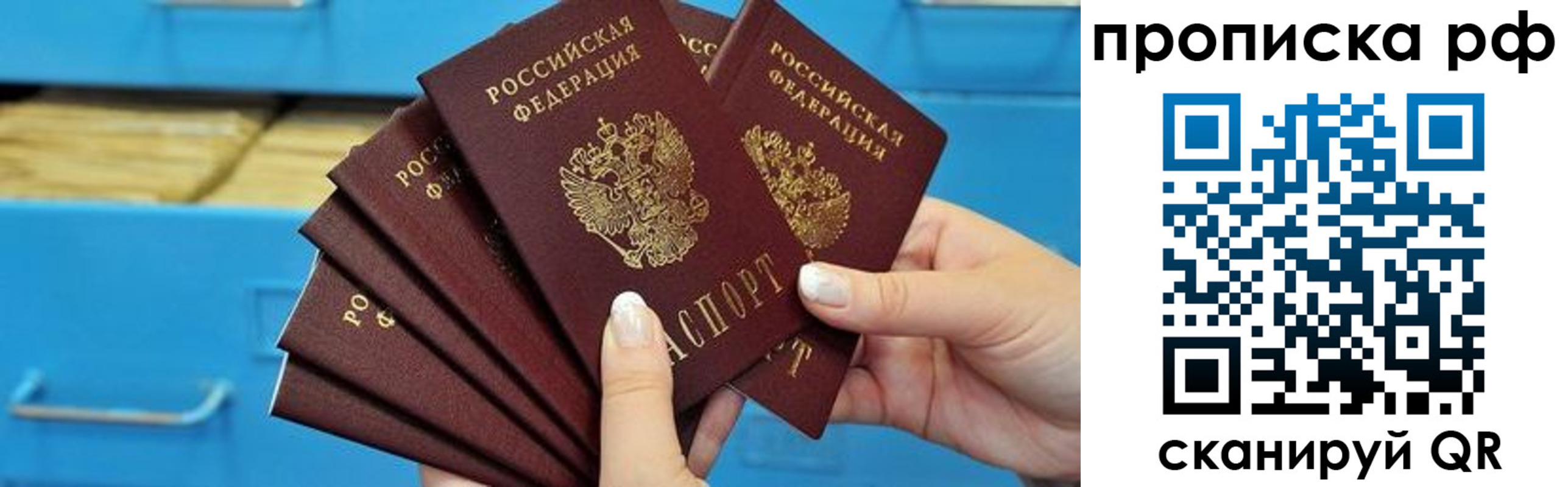 прописка поиск в Гае